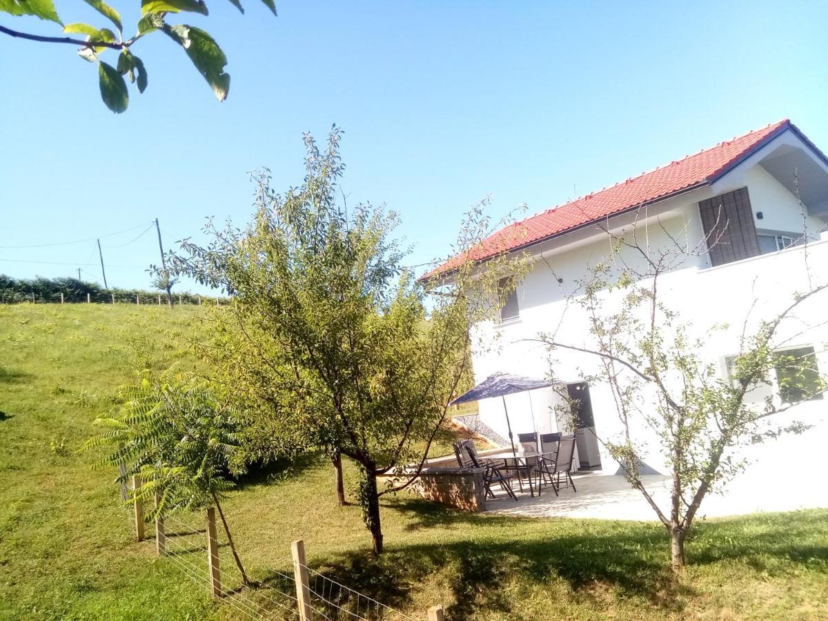 Grajsko Villa Metlika Exterior photo