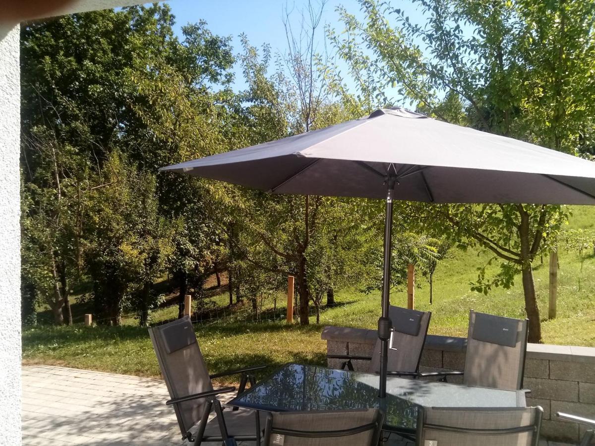 Grajsko Villa Metlika Exterior photo